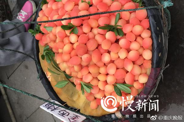 {随机关键词}