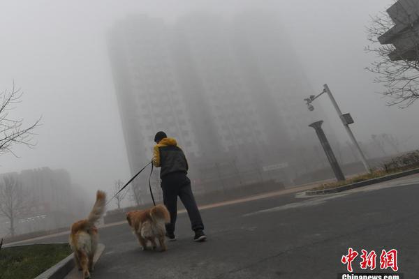 丁丁起立的真实视频
