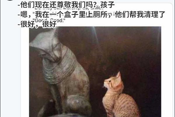 {随机关键词}