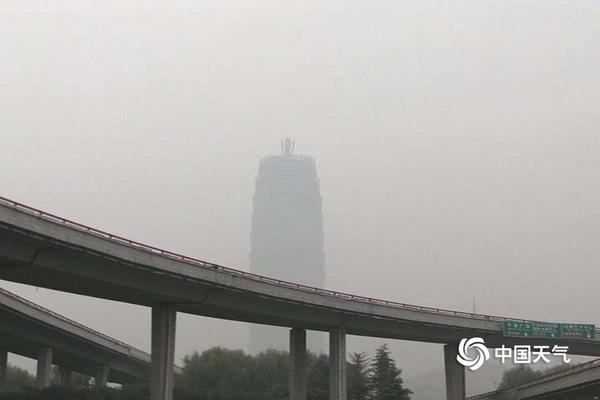 手抓大雷二次元