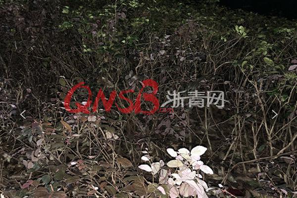 {随机关键词}