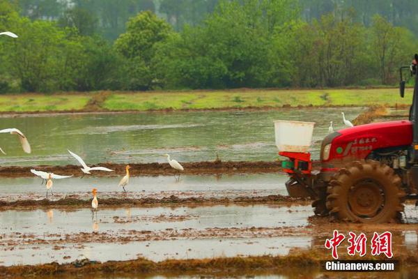 黑料曝光网站下载软件色情