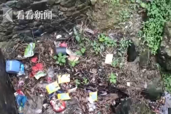 {随机关键词}