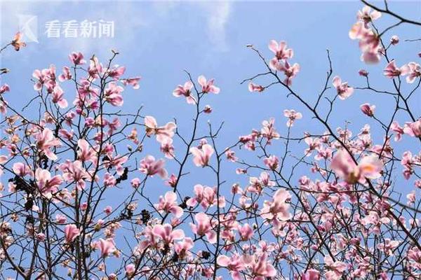 {随机关键词}