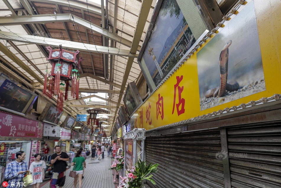 {随机关键词}