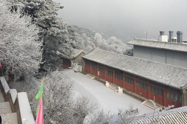 竹菊影视文化有限公司