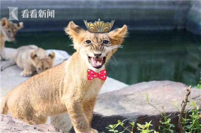 {随机关键词}