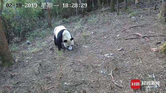 {随机关键词}