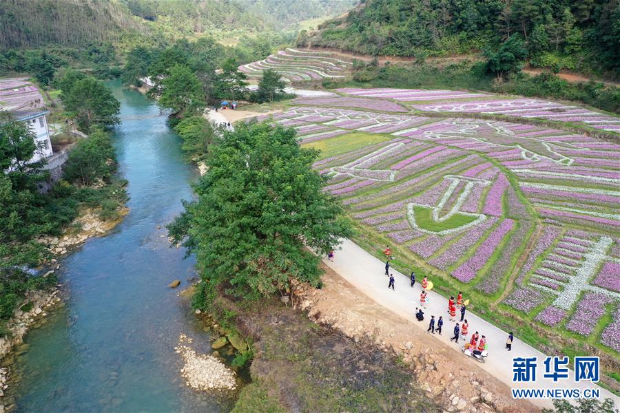 天堂草原电视剧图片高清