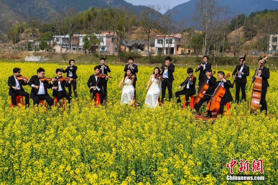 张婉莹mv原版mv播放最新一期