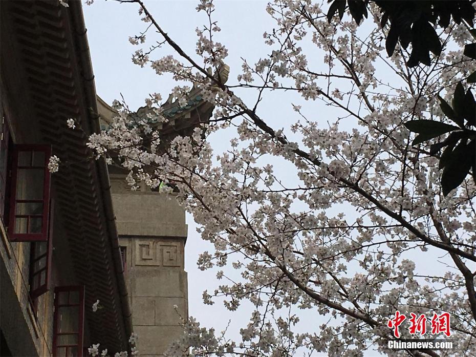 {随机关键词}